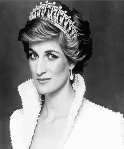 Princess Diana Paint By Number