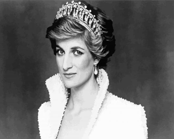 Princess Diana Paint By Number