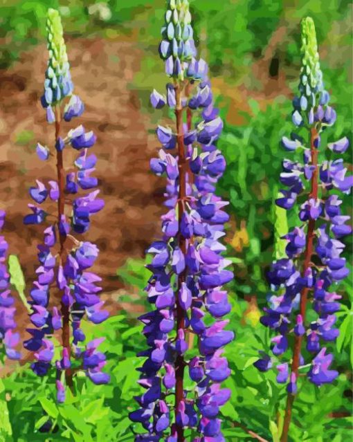 Purple Lupins Paint By Number