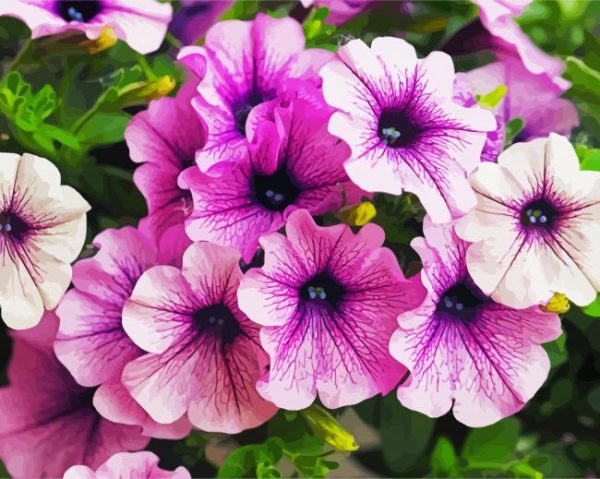 Purple Petunia Flowers paint by numbers