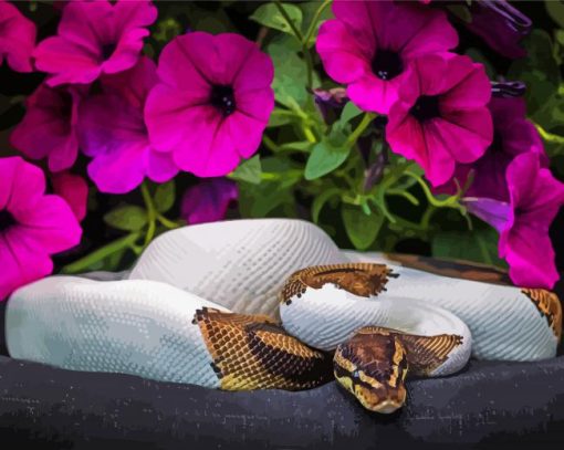 Python Snake and Petunia Flowers paint by numbers