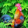 Rooster Bird Animal paint by numbers