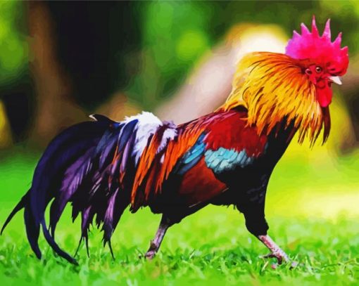 Rooster paint by numbers