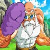 Roshi Dragon Ball paint by numbers