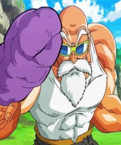 Roshi Dragon Ball paint by numbers