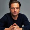 Sebastian Stan paint by numbers