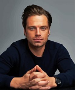 Sebastian Stan paint by numbers