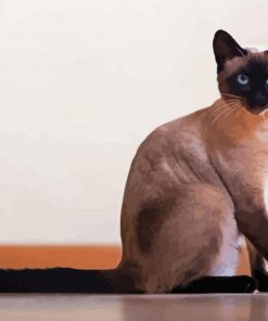 Siamese Cat paint by numbers