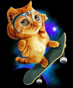 Skater Cat Paint By Number