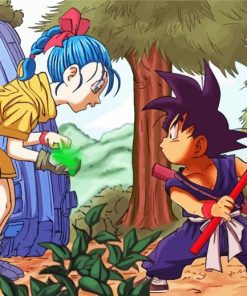 Son Goku And Bulma Paint By Number