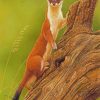 Stoat Weasel Animal paint by numbers