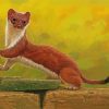 Stoat Weasel paint by numbers