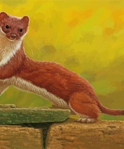 Stoat Weasel paint by numbers