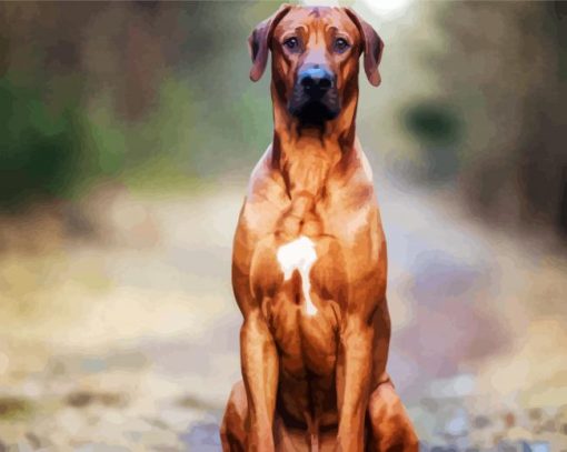 Strong Rhodesian Ridgeback paint by numbers