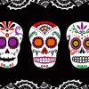 Sugar Skulls paint by numbers