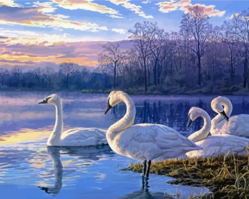 Swans on Lake paint by numbers