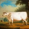 The White Ox paint by numbers