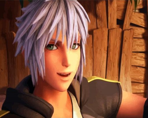 Video Game Riku Character paint by numbers