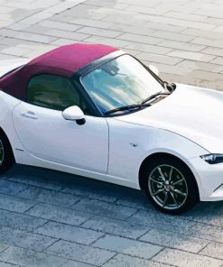 White Mazda MX 5 Miata paint by numbers