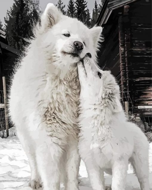 White Samoyed paint by numbers