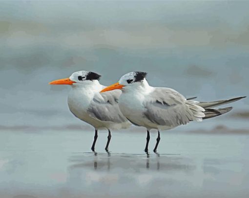 White Terns paint by numbers