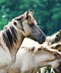 White Brumbies paint by numbers