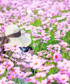 Woman in a Filed of Pink Flowers paint by numbers