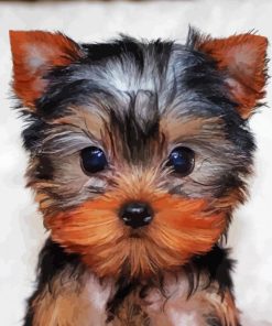 Yorkie Tea Cup Paint By Number