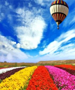 Air Balloon Over Colorful Flowers Field paint by numbers