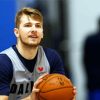 Basketball Player Luka Doncic paint by numbers