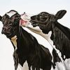 Black and White Cows paint by numbers