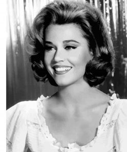 Black and White Jane Fonda paint by numbers