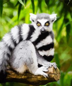 Black and White Tail Lemur paint by numbers