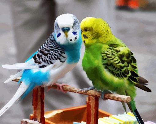 Blue and Yellow Parakeet Budgerigars paint by numbers