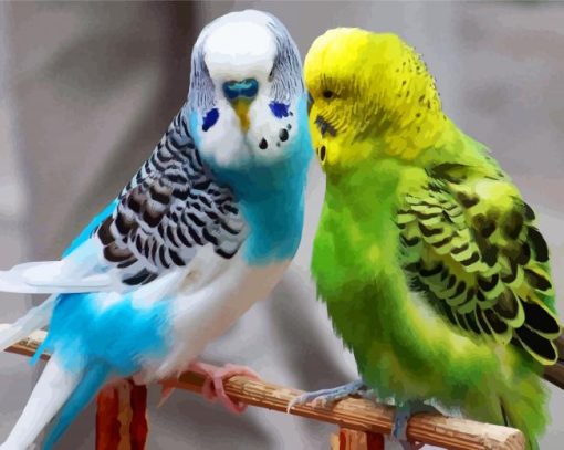 Blue and Green Parakeets paint by numbers