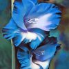 Blue Gladiola Flower paint by numbers