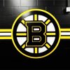 Boston Bruins Logo paint by numbers