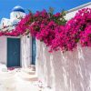 Bougainvillea Greece paint by numbers