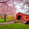 Cherry Blossom Carroll Creek Covered Bridge paint by numbers