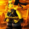 Cole Ninjago paint by numbers