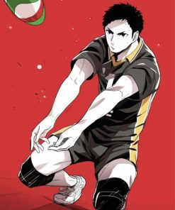 Daichi Sawamura Playing Volleyball paint by numbers