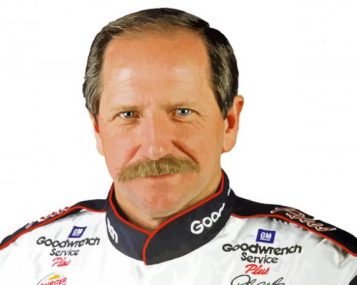 Earnhardt Dale Race Car Driver paint by numbers