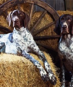 English Coonhound Dogs paint by numbers