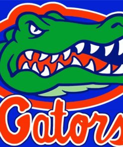 Florida Gators paint by numbers