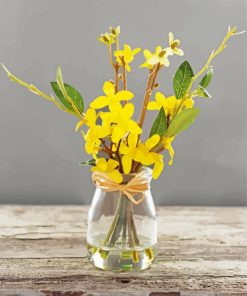 Forsythia Glass Vase paint by numbers