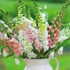 Foxglove Plants Vase paint by numbers