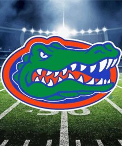 Gators Logo Field paint by numbers