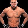 Georges St Pierre paint by numbers