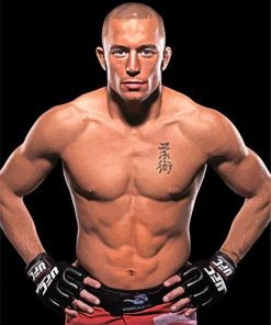 Georges St Pierre paint by numbers