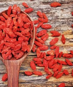 Goji Berries paint by numbers